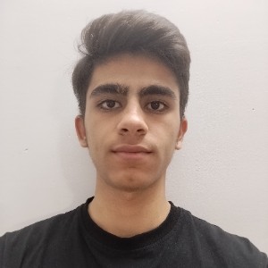 محمدامین انصاری چشمه