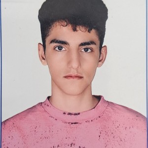 پارسا اله وردی