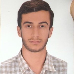 سیدحسین موسوی