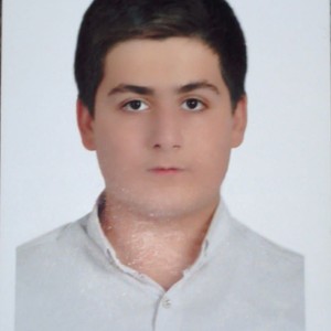 حامد نوروزی