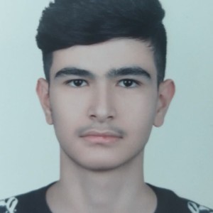 محمدحسن امینی